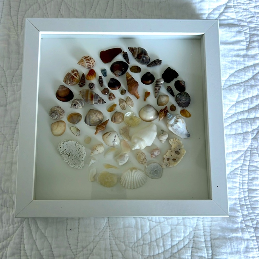 OMBRÉ SEA SHELL ART